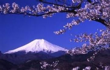Pleasurable 4 Days Tour Ends to Tokyo Holiday Package