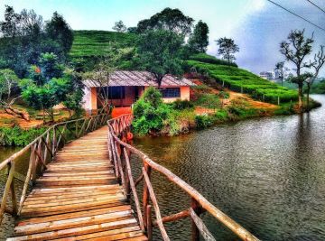 Best 6 Days 5 Nights Cochin, Munnar and Vagamon Tour Package