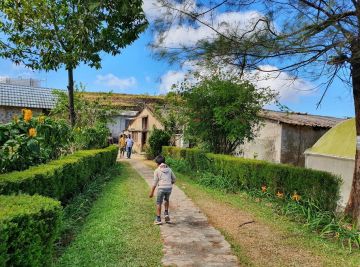 Best 6 Days 5 Nights Cochin, Munnar and Vagamon Tour Package