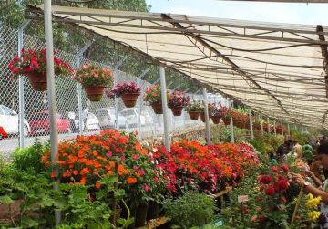 Best 6 Days 5 Nights Cochin, Munnar and Vagamon Tour Package