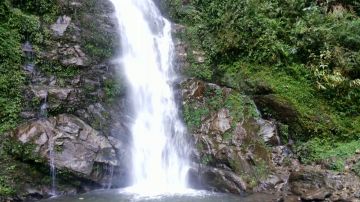 Beautiful 8 Days Bagdogra to Gangtok Tour Package