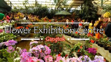 Beautiful 8 Days Bagdogra to Gangtok Tour Package