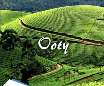 Family Getaway 4 Days 3 Nights Bangalore, Coorg with Ooty Holiday Package