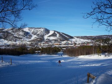Oslo, Geilo, Sogndal and Bergen Tour Package for 5 Days from Bergen