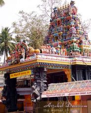 Ecstatic 4 Days 3 Nights Trivandrum with Trivandrum Tour Package