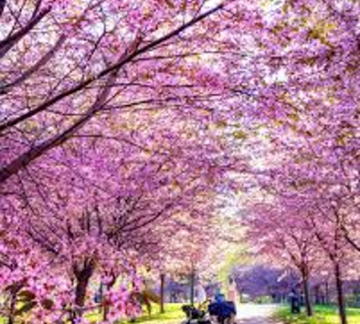 10 Days Helsinki, Rovaniemi and Ranua Water Activities Trip Package