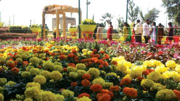 6 Days Bangalore, Coorg with Ooty Trip Package