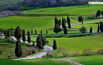 6 Days Bangalore, Coorg with Ooty Trip Package