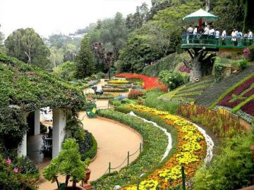 6 Days Bangalore, Coorg with Ooty Trip Package