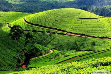 6 Days Bangalore, Coorg with Ooty Trip Package