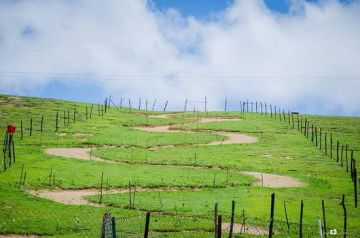 6 Days Bangalore, Coorg with Ooty Trip Package