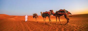 Beach Tour Package for 4 Days from Dubai