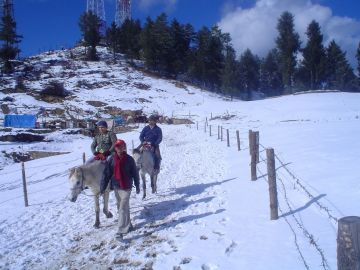 Family Getaway Kufri Tour Package for 3 Days