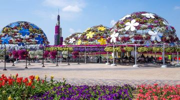 Ecstatic Dubai Tour Package for 5 Days