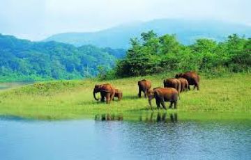 Pleasurable 2 Days 1 Night Periyar Family Holiday Package