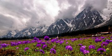 Heart-warming 7 Days Gangtok to Sikkim Nature Holiday Package