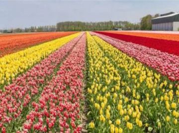 Beautiful 7 Days Jammu Rayalway Station to Srinagar Vacation Package