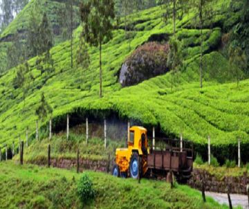 Best 7 Days 6 Nights Munnar, Thekkady and Alleppey Tour Package