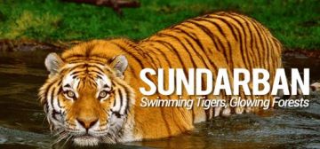 Ecstatic 3 Days Kolkata with Sundarban Holiday Package