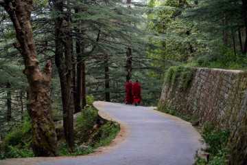 Heart-warming 10 Days 9 Nights Manali Nature Tour Package