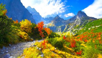 Amazing 6 Days 5 Nights Srinagar Honeymoon Tour Package