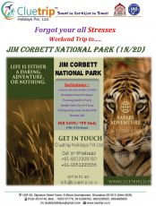 Best 2 Days Jim Corbett and Delhi Wildlife Vacation Package