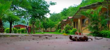 Best 2 Days 1 Night rishikesh Nature Tour Package