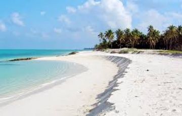 7 Days Port Blair Wildlife Trip Package