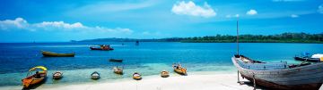 7 Days Port Blair Wildlife Trip Package
