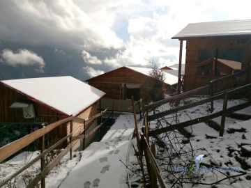 Ecstatic 3 Days 2 Nights Auli and Haridwar Tour Package