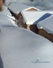 Ecstatic 3 Days 2 Nights Auli and Haridwar Tour Package