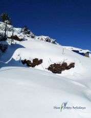 Ecstatic 3 Days 2 Nights Auli and Haridwar Tour Package