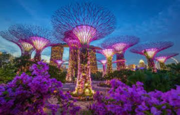 Amazing 8 Days singapore to Malaysia Vacation Package