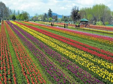 Magical Srinagar Family Tour Package for 5 Days 4 Nights