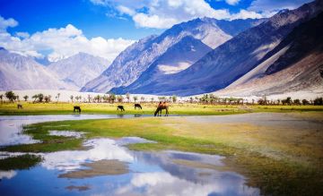 Experience Nubra Tour Package for 6 Days from Leh
