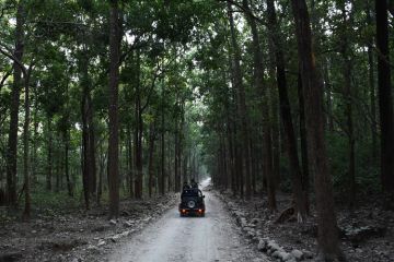 Best 5 Days Jim Corbett Trip Package