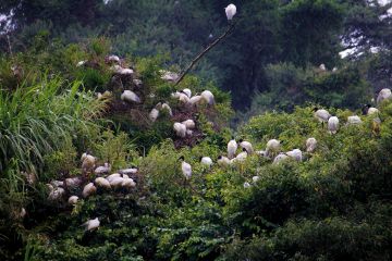 Memorable 6 Days 5 Nights Ooty Vacation Package