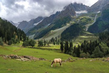 Pleasurable 6 Days 5 Nights Sonmarg Friends Trip Package