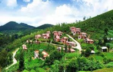 Ecstatic 6 Days 5 Nights Bangalore and Ooty Nature Tour Package