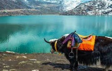 Family Getaway Gangtok Nature Tour Package for 5 Days 4 Nights