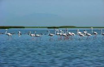 2 Days Chilika Cruise Trip Package