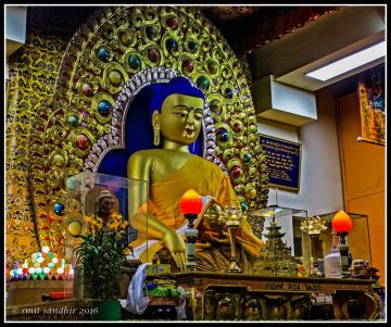 Experience 3 Days 2 Nights Dharamshala Family Holiday Package