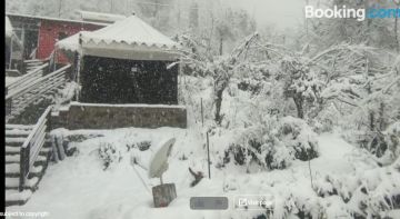 Heart-warming 3 Days Haridwar To Auli, Auli with Auli To Haridwar Trip Package