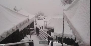 Heart-warming 3 Days Haridwar To Auli, Auli with Auli To Haridwar Trip Package