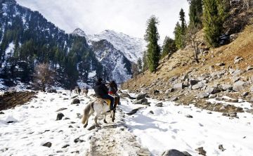 Pleasurable 5 Days Manali with Drive From Manali To Delhi Holiday Package