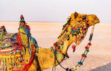 4 Days 3 Nights Mandvi, Kutch with Bhuj Tour Package