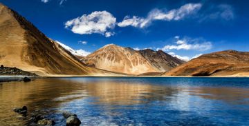 Experience 7 Days Ladakh Wildlife Tour Package