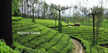 Family Getaway Coimbatore Tour Package for 3 Days