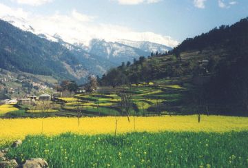 Beautiful 4 Days Manali and New Delhi India Holiday Package