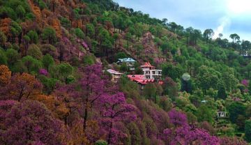 Amazing 4 Days Departure to Shimla To Kasauli Tour Package